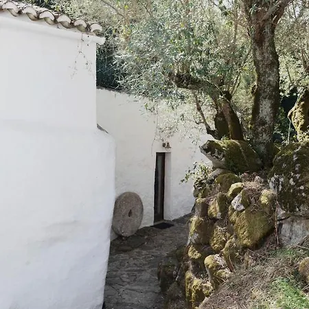 Serra Vida - A Place Of Presence Santo António das Areias Buitenkant foto