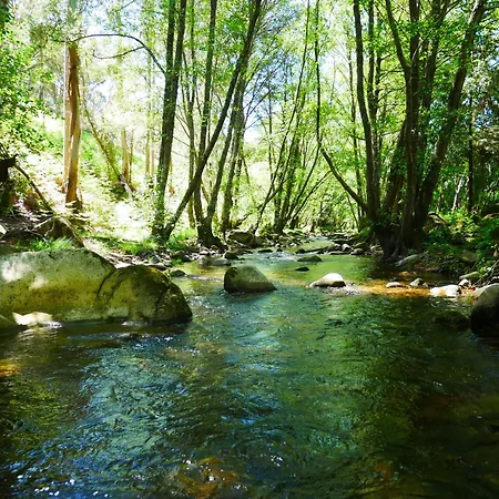 Serra Vida - A Place Of Presence Santo António das Areias Buitenkant foto
