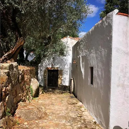 Serra Vida - A Place Of Presence Santo António das Areias Buitenkant foto