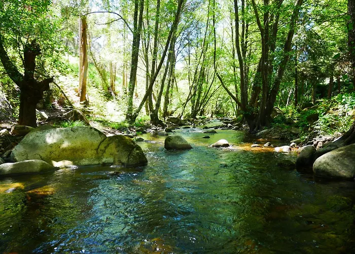 Serra Vida - A Place Of Presence