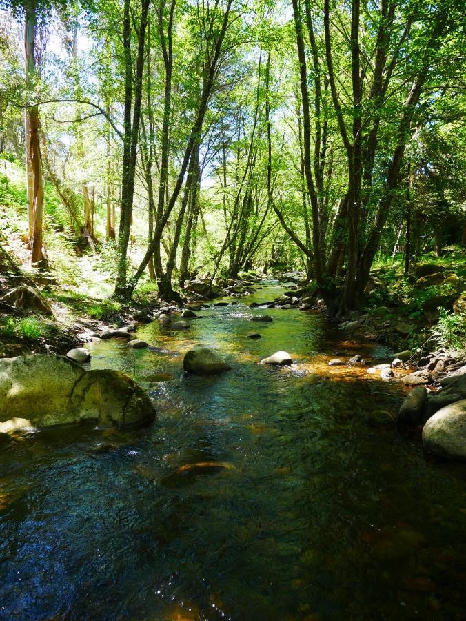 Serra Vida - A Place Of Presence